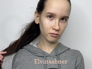 Elvinaabner
