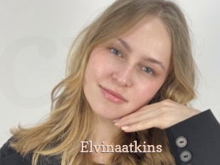Elvinaatkins