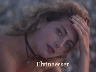 Elvinaesser