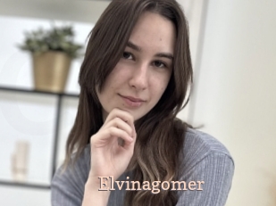 Elvinagomer