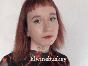 Elwinebuskey