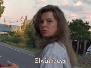 Elwinebuss