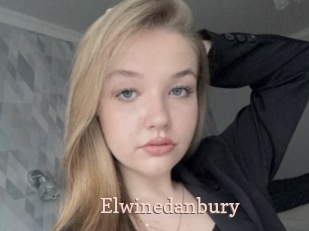 Elwinedanbury