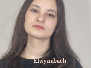 Elwynabach