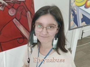 Elwynabuss
