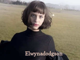 Elwynadodgson