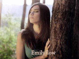 Emilyflow