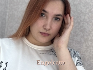Engelcatts