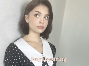 Engelgearing