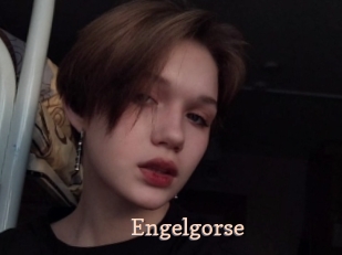 Engelgorse