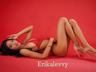Erikalevvy