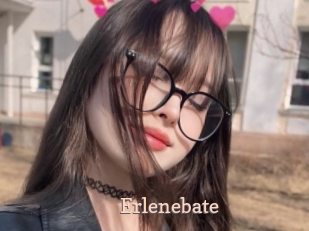 Erlenebate