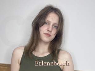 Erlenebeech