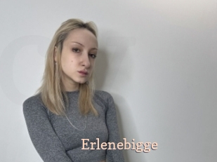 Erlenebigge