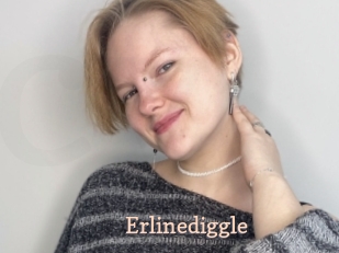Erlinediggle