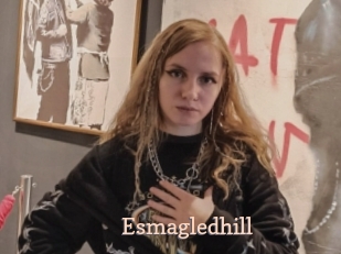 Esmagledhill