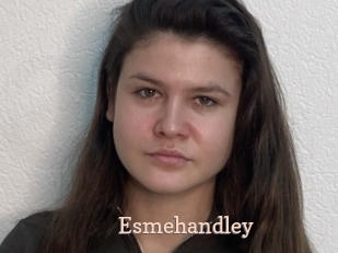 Esmehandley