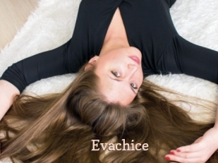 Evachice