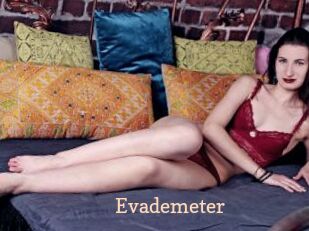 Evademeter