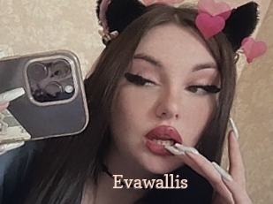Evawallis