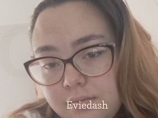Eviedash