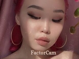 FactorCam