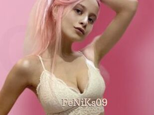 FeNiKs09