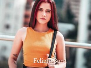 FelicityBarn