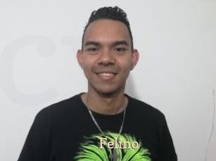Felino