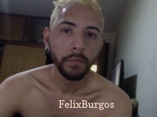FelixBurgos