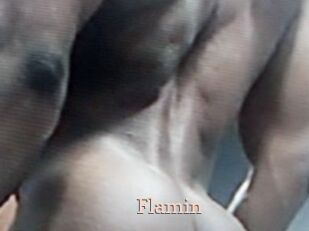 Flamin