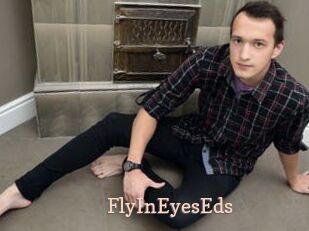 FlyInEyesEds
