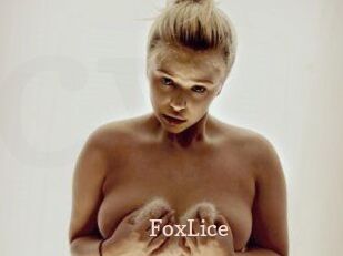 FoxLice