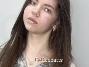 Felicecatts
