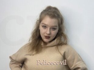 Felicecovil