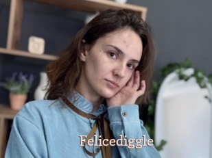 Felicediggle