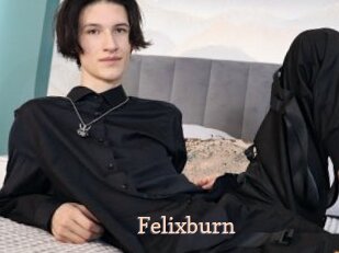 Felixburn