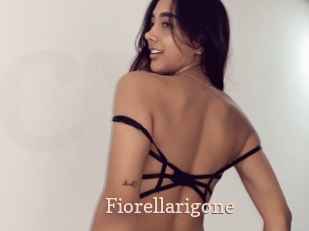 Fiorellarigone