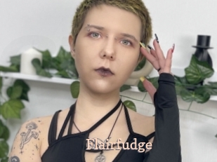 Flairfudge