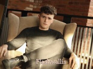 Flashwallis