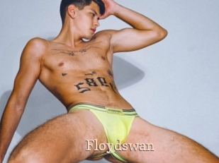 Floydswan