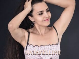 GATAFELLINE