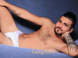 GangAnel