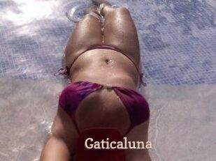 Gaticaluna