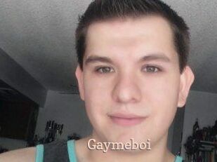 Gaymeboi