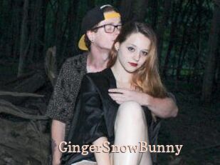 GingerSnowBunny