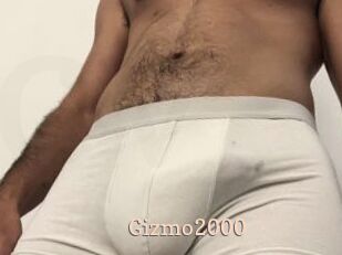 Gizmo2000