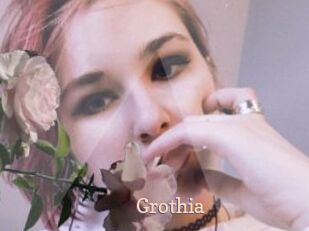 Grothia