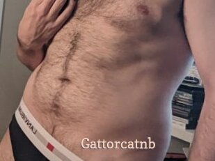 Gattorcatnb