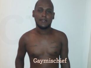 Gaymischief